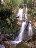 The water race intercepts a small stream in the wilderness area. 2006.